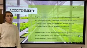 Вертикальное земледелие