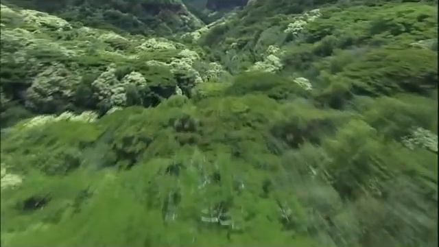 Астральная Проекция смотреть онлайн