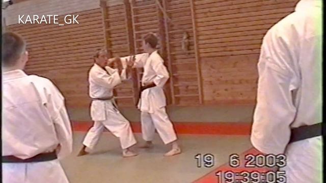 KUMITE techniques. Shibamori Kando смотреть онлайн