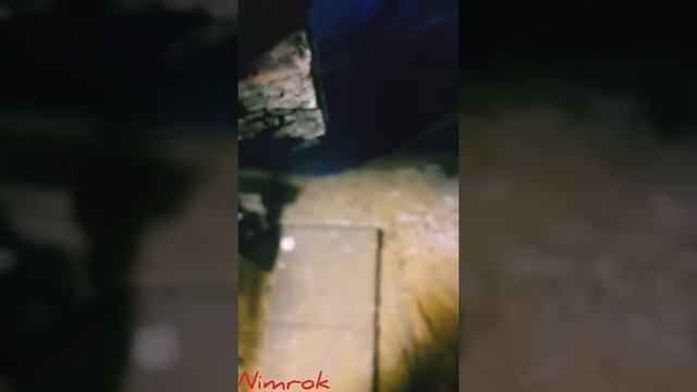 Димиксид и уплотнительные кольца форсунок! смотреть онлайн