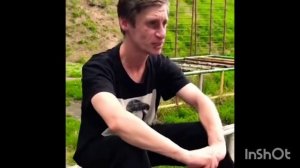 ПеСни, которые стали МеМаМи прикол