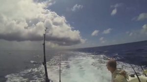 Рыбалка на баракуду