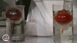 11. (В-О). Равновесие в системе NO2 и N2O4