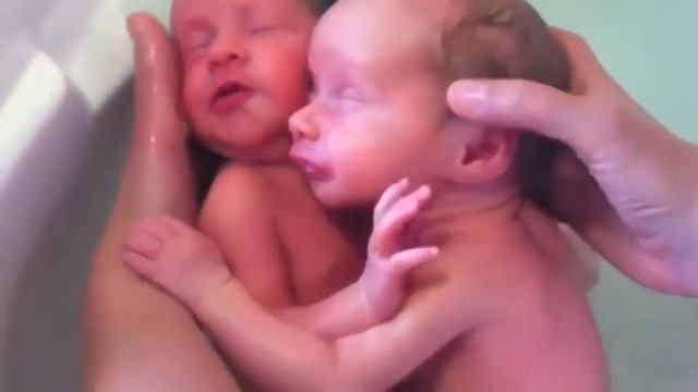 Близнецы ещё не осознали что родились смотреть онлайн