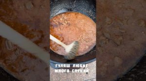Рецепты из дичи , гуляш из косули !!!