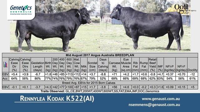 Rennylea Kodak K522 смотреть онлайн