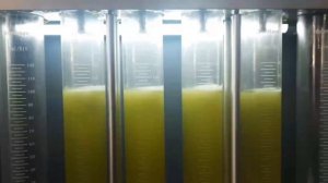 Диагностика бензиновых форсунок всех типов на стенде до 250 бар. MPI, FSI TSI, GDI, D4, DISI, Piezo