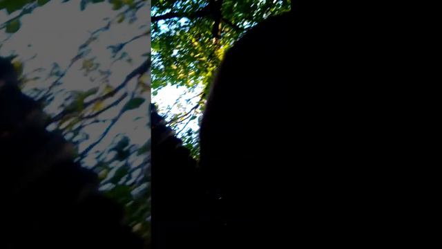 Майнкрафт кирка добил модё смотреть онлайн