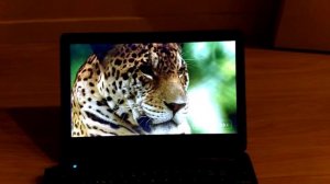 Acer aspire one 722 video 720p 60fps