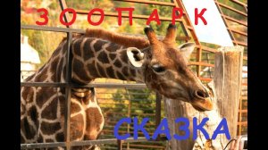 Ялта Зоопарк Сказка