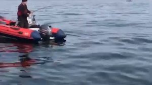 Риб Фортис 450-RV