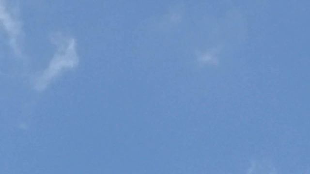 как отпугнуть хищьника при атаке? делюсь опытом, а аы поделитесь своим.. смотреть онлайн