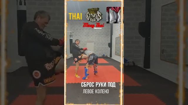 клинч в муайтай! варианты работы в клинче  #тайскийбокс #королевскиельвы #muaythai #russiamuaythai