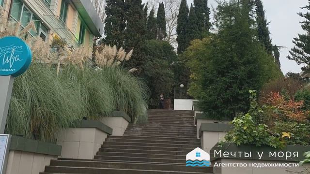 Начало зимы 2022 в Сочи. Переезжайте жить на юг. Агентство недвижимости Мечты у моря Сочи Крым Анап