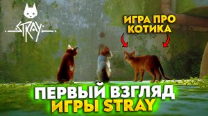 УПРАВЛЯЮ КОТОМ! ПЕРВЫЙ ВЗГЛЯД ИГРЫ - STRAY