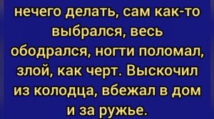 Толька для взрослых,анекдот как девушка потеряла свои плавки,анекдот как тёща упала в колодец.