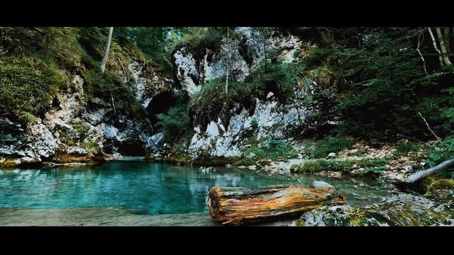 Canon EOS R10 Cinematic 4k Camera Test смотреть онлайн