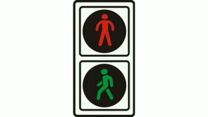 Посвящение в пешеходы