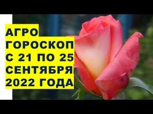 Агрогороскоп с 21 по 25 сентября 2022 года