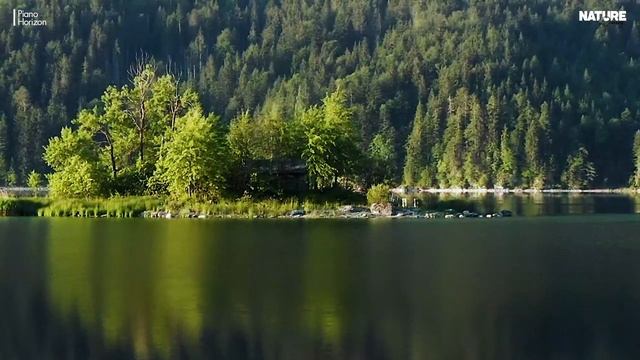 Relaxing Music For Stress Relief, Anxiety and Depressive States • Heal Mind, Body and Soul