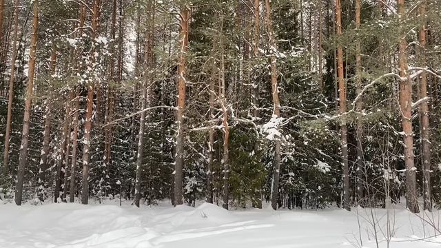 КОВАРНАЯ НЕВЕСТКА... | Истории из жизни. смотреть онлайн