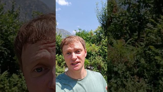 Вот кто живёт в Анти-Вселенной