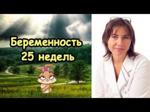 Беременность 25 недель.  Матка как футбольный мяч