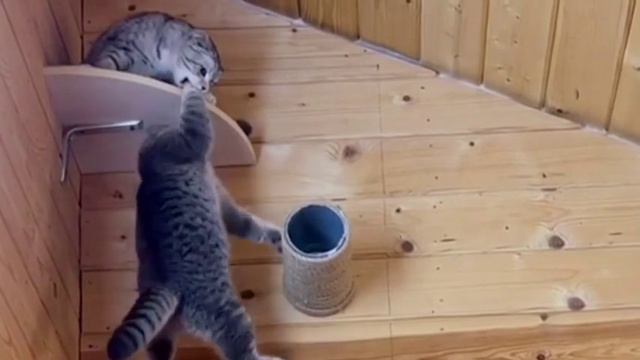 Слишком много экшена для одного видео смотреть онлайн