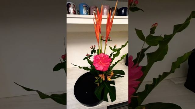 還是一朵盛開的花，不懼花期。 смотреть онлайн