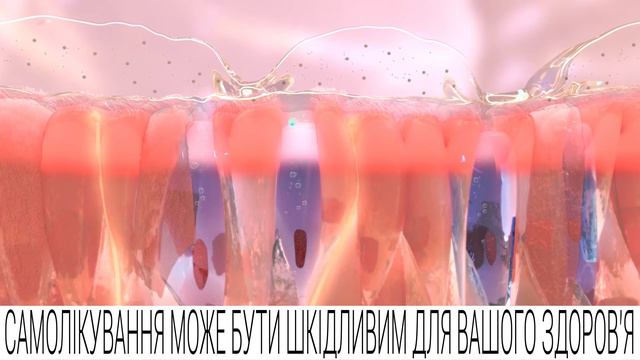 Bronhibret actual pack 12 02 смотреть онлайн