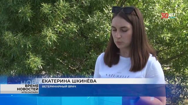 В Волгоградском ЦПКиО вернули в пруд 8 красноухих черепах