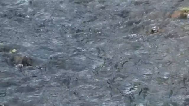 Чем больше лет живёшь... смотреть онлайн