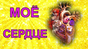 Как работает сердце человека.