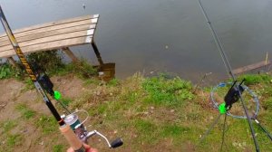 Бешеный выход форели на либру на платнике.