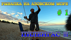 СУПЕР РЫБАЛКА НА АЗОВСКОМ МОРЕ! | Рыбалка на ПИЛЕНГАСА | ЧАСТЬ 1.mpg