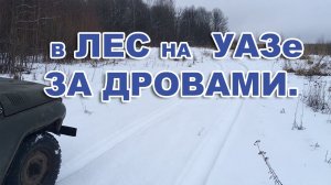 УАЗ. ПРОГУЛКА  В ЛЕС НА  УАЗе  ЗА ДРОВАМИ  ПО  СНЕГУ.