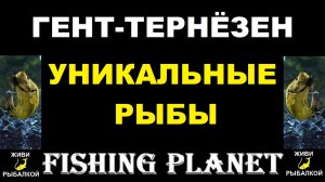 Уникальные рыбы канала Гент-Тернезен в игре Fishing Planet