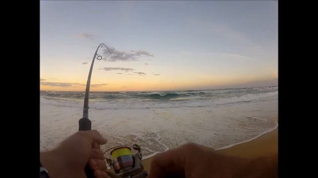 South coast Sambo смотреть онлайн