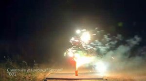 JF TB32 Бестия (0,6х7) фонтан+салют со свистом