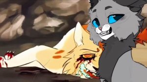 ПОЧЕМУ КВШНИКИ УХОДЯТ ИЗ ФЭНДОМА КВ? |+ОБ АНТИ-КВШНИКАХ| #Котывоители #почемуфендомквумирает? #кв