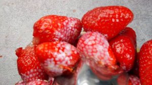 НЕ покупайте МОРОЖЕННОЕ! Есть способ намного Полезнее, Дешевле и Вкуснее! Готовлю круглый год!