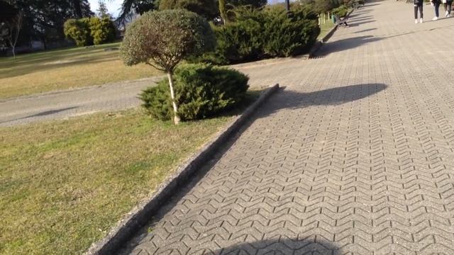МАСКА НАПОЛЕОНА - ДВОРЕЦ  ДАДИАНИ , ЗУГДИДИ, ЗАПАДНАЯ ГРУЗИЯ САМЕГРЕЛО!  GEORGIA, ZUGDIDI,