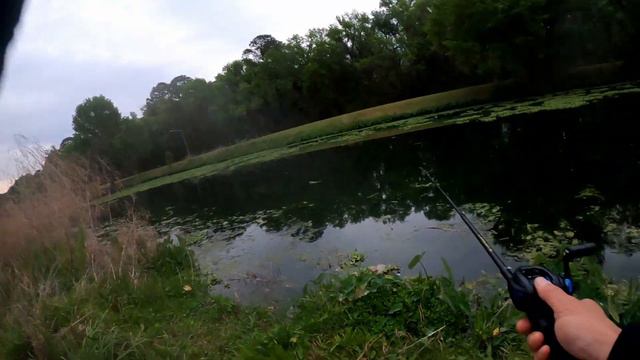 Lake Mayer, Savannah Georgia first "Wiper" - Fishing With Air Season 3 Episode 2 смотреть онлайн