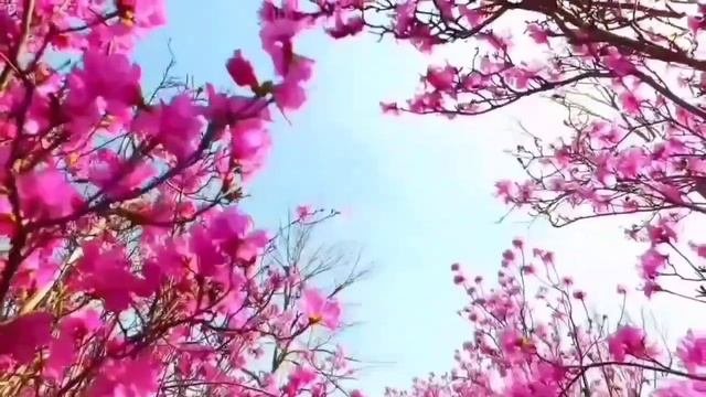 ОТ СЧАСТЬЯ ОПЬЯНЕЛА! ОЛЮНЯ И КОТЮНЯ ВСЁ ПРОСТО. ОБЗОР.