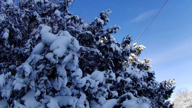 Первомайск, зимнее утро после ночного снега! смотреть онлайн