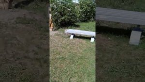 МИКР.,,ВХОДНОЙ" 5 ЧАСТЬ.Г.ОМСК.