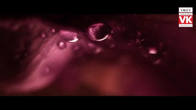 Стих "Я люблю вас назло судьбе" Твита,читает В.Корженевский смотреть онлайн