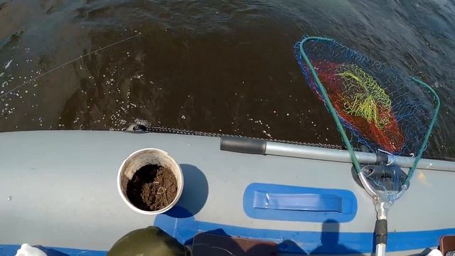 Не ожидал такого клёва на кольцо . Рыбалка. Ловля леща на кольцо с лодки на Волге смотреть онлайн