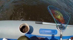 Не ожидал такого клёва на кольцо . Рыбалка. Ловля леща на кольцо с лодки на Волге