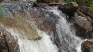 Экотуризм стал доступнее